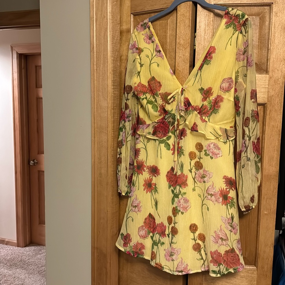 BB Dakota Dress //